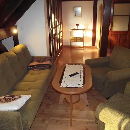 Alina קארטוזי