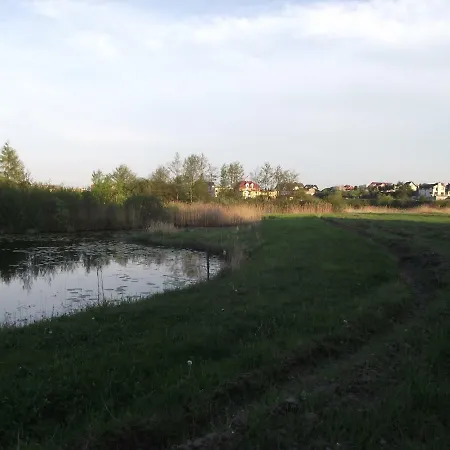 Alina *