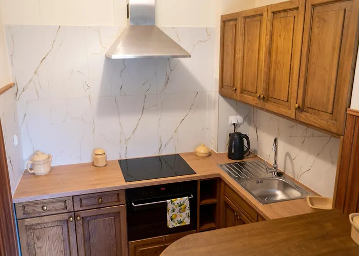 Alina كارتوزي