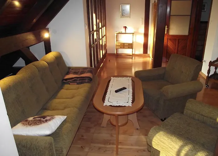 Alina كارتوزي