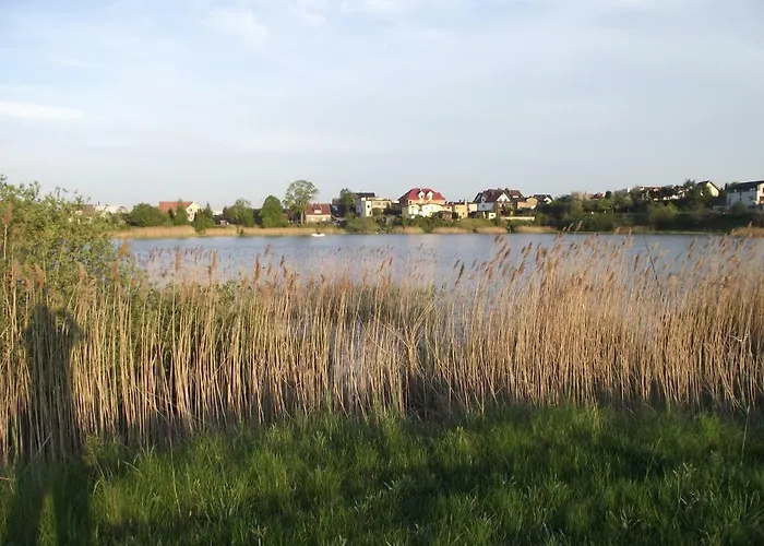 Alina شقة كارتوزي